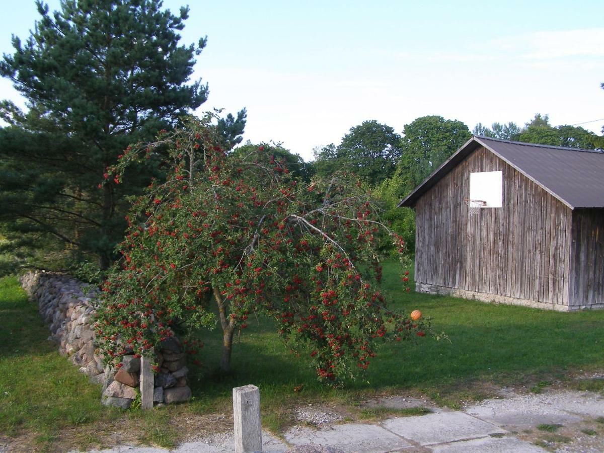Kipi-Koovi Holiday Centre Zewnętrze zdjęcie