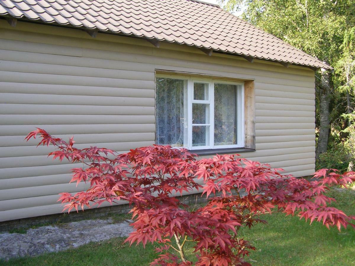 Kipi-Koovi Holiday Centre Zewnętrze zdjęcie